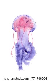 Watercolor Jellyfish On White Background