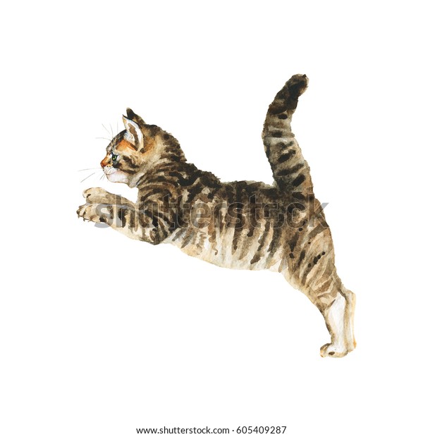 水色ジャンプふわふわした子猫 手描きの灰色のタビーの主なあらいぐまの子猫 白い背景にペットのイラストを描く のイラスト素材
