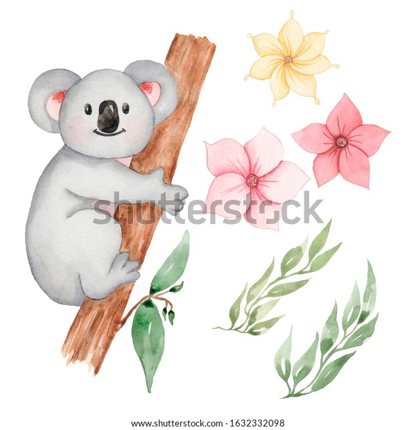 Download Watercolor Koala Animal Clipart Baby Bear Stock Illustration 1632332098