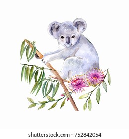 Watercolor Koala With Flowers On White.