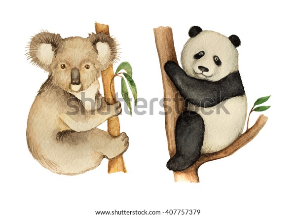 木の上に座る水彩のコアラとパンダ 動物学のデザインにかわいい熊 のイラスト素材
