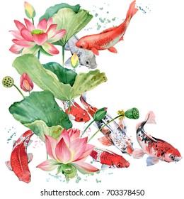 watercolor koi carp and lotus flower illustration.