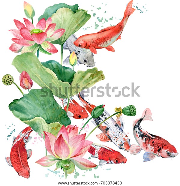 水彩鯉と蓮の花のイラスト のイラスト素材 703378450