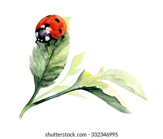 Watercolor Ladybug Draw