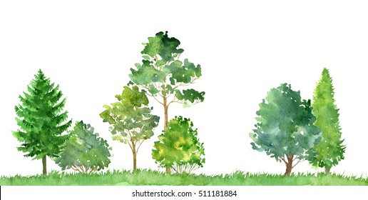 watercolor landscape with deciduous trees,pine and firs, bushes and grass, abstract nature background, forest template, green foliage and plants, hand drawn illustration