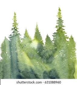 watercolor landscape with fir trees and grass, abstract nature background, coniferous forest template, hand drawn illustration