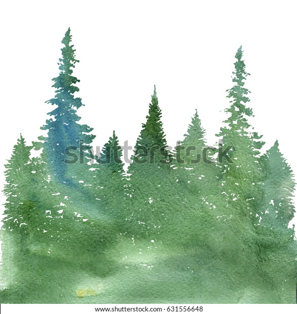 白い背景に水彩の風景とモミの木と草 抽象的な自然の背景 針葉樹の林のテンプレート 手描きのイラスト のイラスト素材