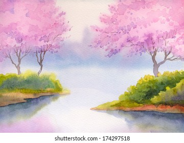 Cherry Blossom Bush Drawing By Watercolor Stock Illustration 300293900