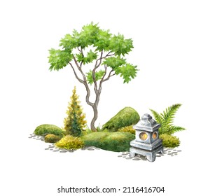 watercolor landscape illustration. Green leaves, bonsai tree, stone lantern and rocks covered with moss. Spiritual zen garden design, isolated on white background