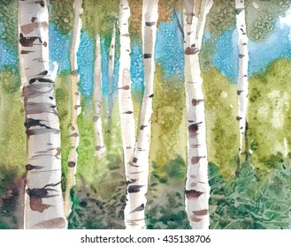 Watercolor landscape painting of a group of birch trees in summertime, loose wet on wet style watercolor forest scene.