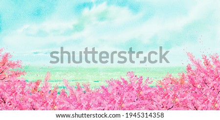 Watercolor landscape painting panorama colorful of cherry blossom tree, natural beauty with copy space sky cloud background in nature spring season. Painted impressionist, illustration image