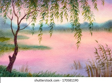 Watercolor landscape. Young willow branches bent over the evening lake
