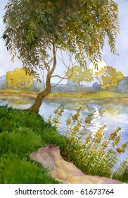 Watercolor landscape. Young willow shakes the branches over the quiet river