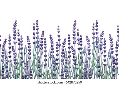 Watercolor lavender design. Hand painted provencal herbs. Seamless border