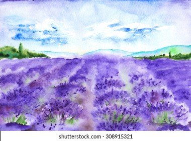 Watercolor Lavender Fields France Provence Landscape