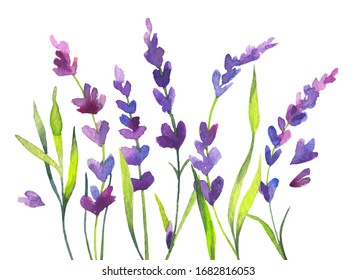 お花畑 のイラスト素材 画像 ベクター画像 Shutterstock
