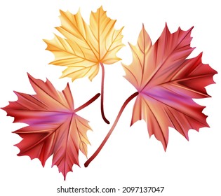 Watercolor leaf full of romance,the leaves design,print on wallpaper,fabric,gritting cards and wallpaper.