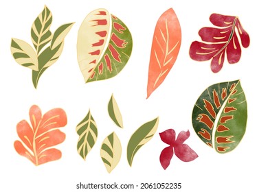 watercolor leaves outlined tropical set orange green red isolated elements garden colection white background botanical illustrated nature