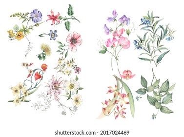 Watercolor Flower On Pink Background Hand Stock Illustration 1717022560 ...