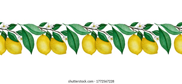 Watercolor Lemon Branch Seamless Border, Ornamental Lemon Fruit Border, Beautiful Tropical Lemon Fruit Decoration, Realistic Watercolor Fruit Illustration