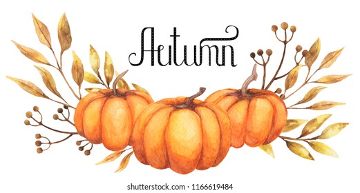 Paintings of Autumn Harvesting Watercolor pumpkin Images Stock Photos Vectors 