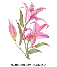 ユリの花 の画像 写真素材 ベクター画像 Shutterstock