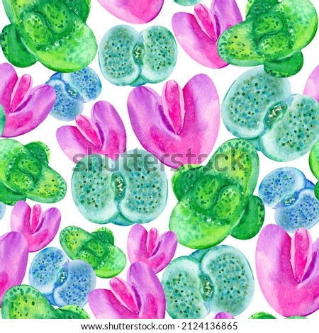 Watercolor lithops seamless pattern, colorful plants living stones print