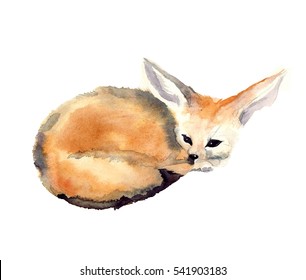 Watercolor little fox Fenech on the colorful white  background. Watercolor sketch animal illustration