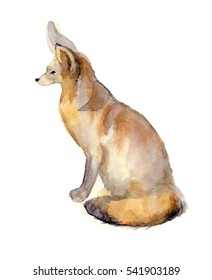 Watercolor little fox Fenech on the colorful white  background. Watercolor sketch animal illustration