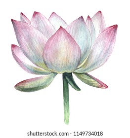 Lotus Pose Images, Stock Photos & Vectors | Shutterstock