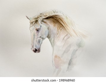 Watercolor Lusitano Horse Portrait