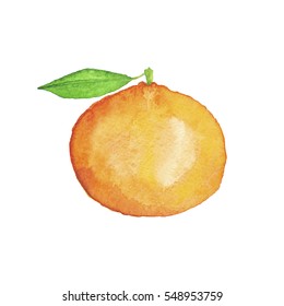 Watercolor Mandarin Hand-Painted Isolated