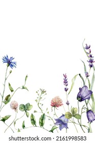 Watercolor meadow flowers border of campanula, clover and lavender. Hand painted floral card of wildflowers isolated on white background. Holiday Illustration for design, print or background.