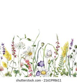 Watercolor meadow flowers border of chamomile, buttercup, tansy and campanula. Hand painted floral illustration isolated on white background. For design, print, fabric or background. - Powered by Shutterstock