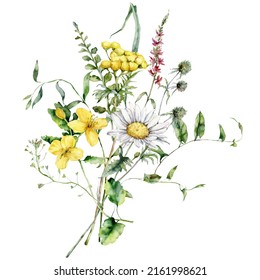 Watercolor meadow flowers bouquet of chamomile, tansy, celandine and sage. Hand painted floral poster of wildflowers isolated on white background. Holiday Illustration for design, print, background.