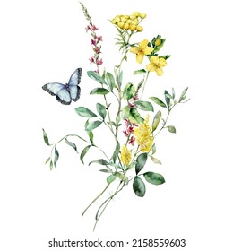 Watercolor meadow flowers bouquet of tansy, celandine and sage. Hand painted floral poster of wildflowers isolated on white background. Holiday Illustration for design, print, background.