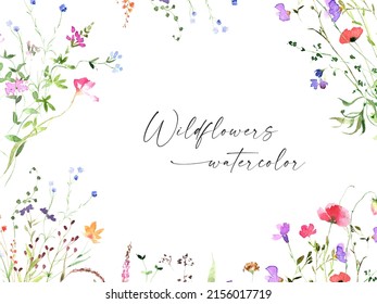 Watercolor Meadow Wildflowers On White Background. Spring, Summer Garden. Botanical Card Design. Floral Template