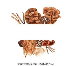 Watercolor medicinal mushroom frame