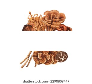 Watercolor medicinal mushroom frame