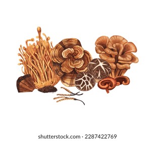 Watercolor medicinal mushroom set  adaptogenic plant  Hand  drawn illustration isolated white background  Perfect concept for healthy chinese medicine popular superfood  design packing 