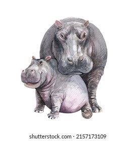 Watercolor Mom and Baby Hippo illustration. Hippopotamus paint. Hippo paint clip art, T-shirt, Baby shower isolated on white background. This has clipping path. - Powered by Shutterstock