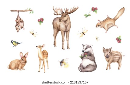 Watercolor Moose, Fawn, Rabbit, Opossum, Wild Boar, Badger, Flying Squirrel, Cute Forest Animals Illustration. Woodland Hand-painted Nature Clipart For Kids Design, Postcards, Poster, Print