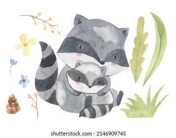 Watercolor mother and baby raccoon. Cute animal illustration for kids