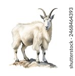 Watercolor Mountain Goat. Illustration clipart isolated on white background.