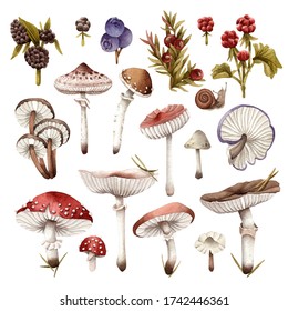 Watercolor Mushrooms   berries  Isolated clipart theme and mushrooms  blueberries   berries white background  Botanical illustration for postcards  posters  textile design   other Souvenirs 