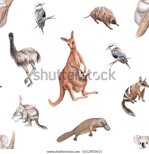 Watercolor Native Australian Animals Seamless Pattern Stock ...