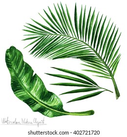 Palm Leaves Clipart Images Stock Photos Vectors Shutterstock