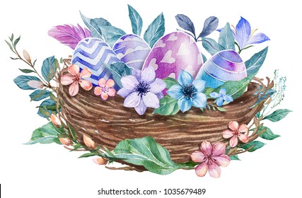 Watercolor nest with bird eggs. Hand drawn illustration