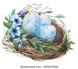 Watercolor nest with bird eggs. Hand drawn illustration