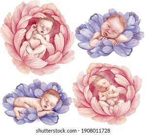 watercolor newborn babies sleep in a flower of pink peonies and blue crocuses. Isolated elements on a white background for the design. - Powered by Shutterstock